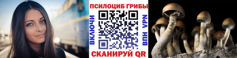 Псилоцибиновые грибы ЛСД  Алушта 